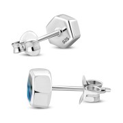 Abalone Shell Hexagon Silver Stud Earrings, e373st